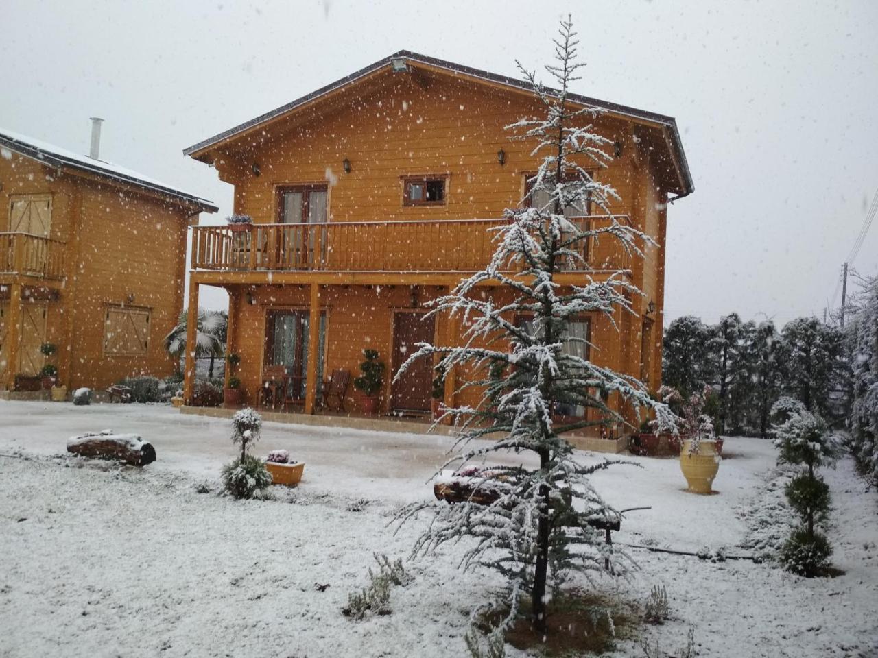 Kastor Chalets Ampelokipoi  외부 사진