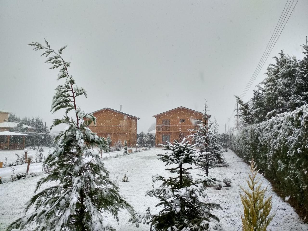 Kastor Chalets Ampelokipoi  외부 사진