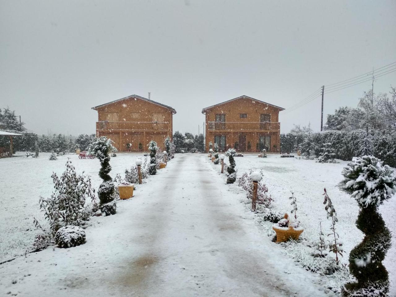 Kastor Chalets Ampelokipoi  외부 사진